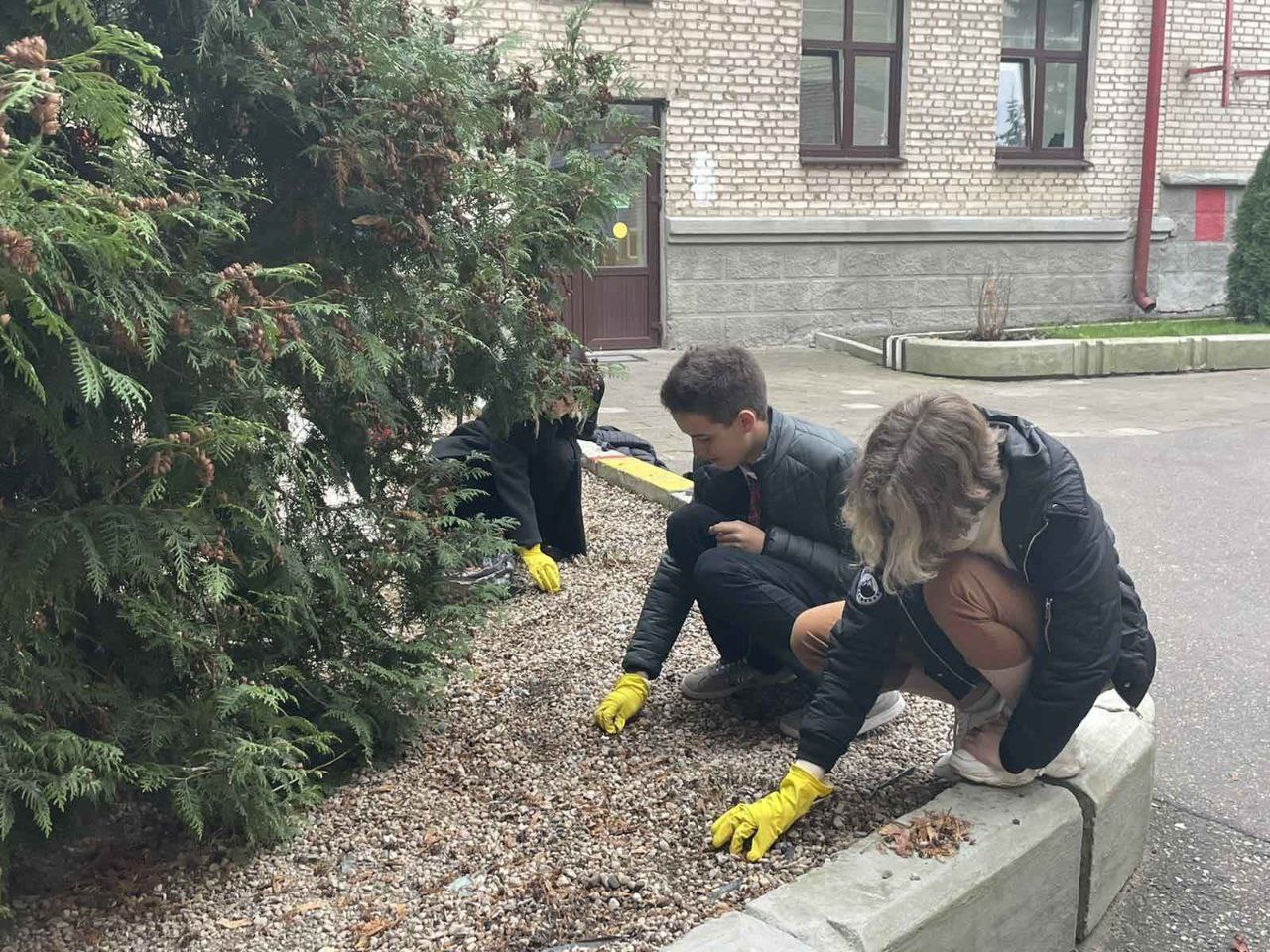 photo 2022 11 03 09 48 51