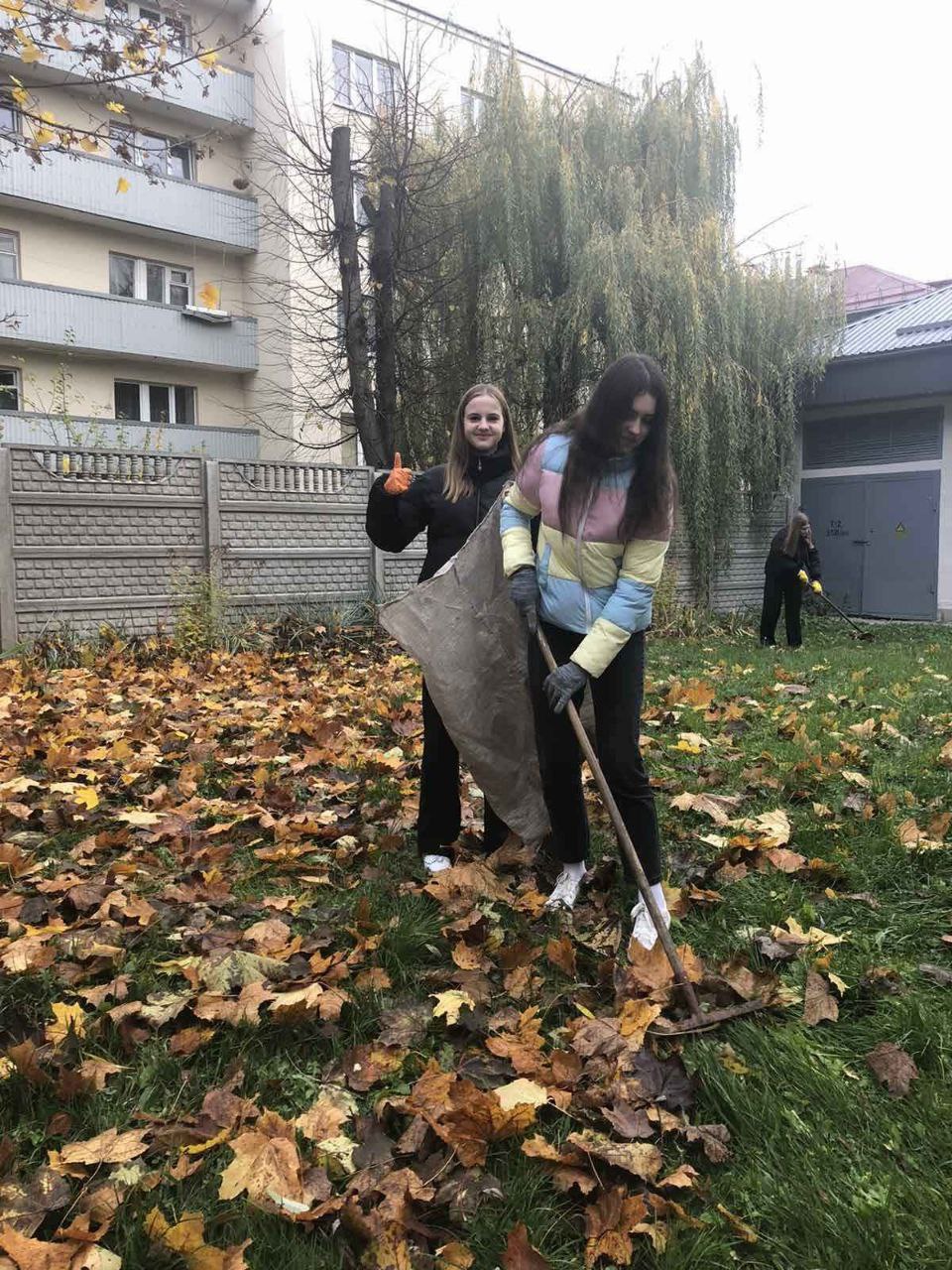 photo 2022 11 03 09 48 54